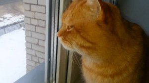 Вернулся с прогулки