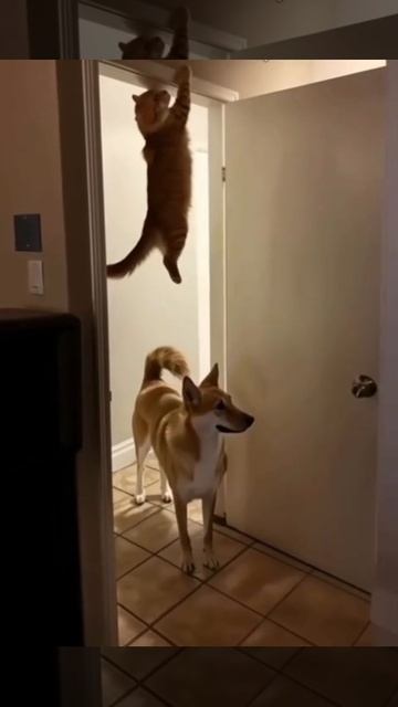 Жить захочешь не так раскорячишься. смотреть онлайн