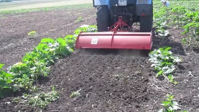 Вторая прополка бахчи. Работаем почвофрезой виракс. смотреть онлайн