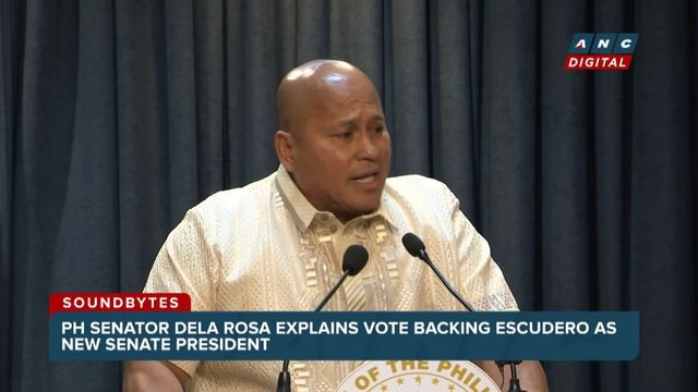Dela Rosa to Zubiri: 'Sorry, boss, I failed to win the war for you' | ANC смотреть онлайн