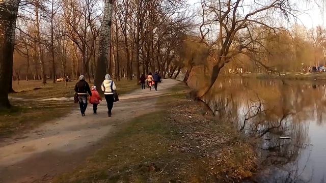 Тропинка в центральном парке смотреть онлайн