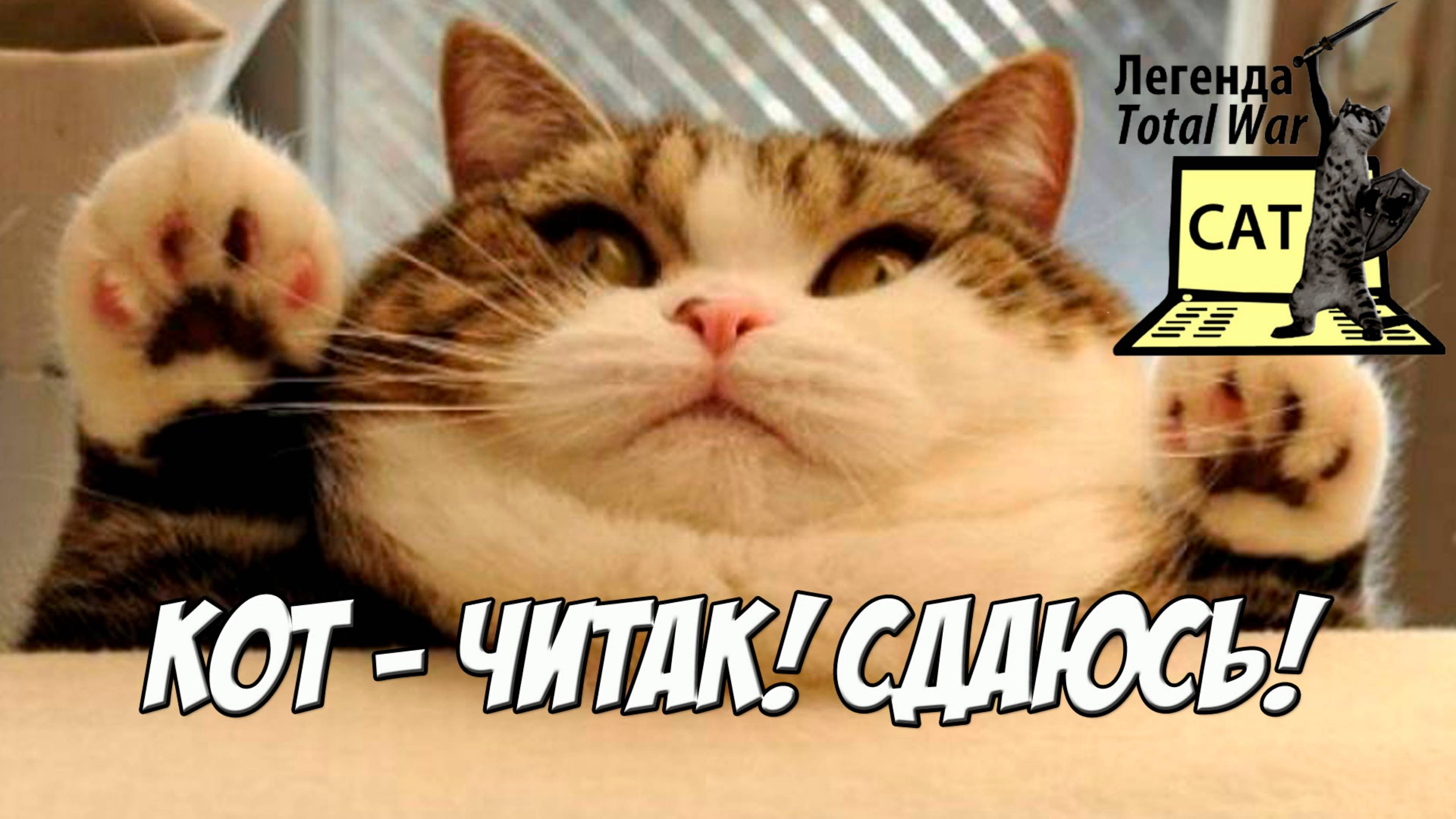 Total War Cat разоблачён!!111 смотреть онлайн