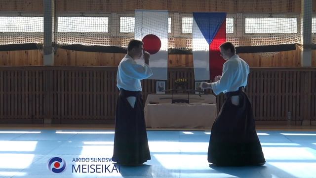 3 Aikido Tsuki Gokyo Shishiya Sensei, Horice 2016