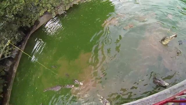 Moran Day 43 - Point Blank в Бангкоке