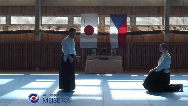 6 Aikido Tsuki Koshinage Shishiya Sensei, Horice 2016