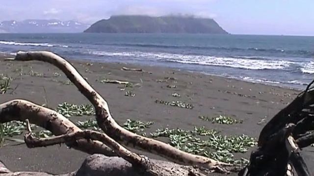 Сотворение Камчатки смотреть онлайн