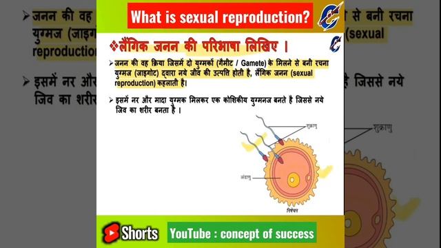 What is sexual reproduction? Laingik Janan kya hai? Class 10th Science Biology Chapter -8 | смотреть онлайн