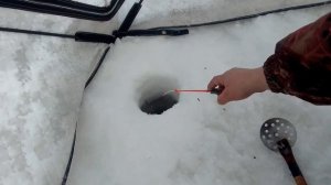 рыбалка на озере чаны, жор судака, весь день почти один судак