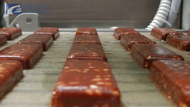 Date paste with sesame bars processing technology by modern forming machine for fruit paste RFM-400 смотреть онлайн