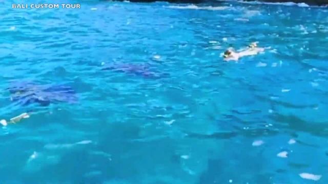 SNORKELING NUSA PENIDA смотреть онлайн