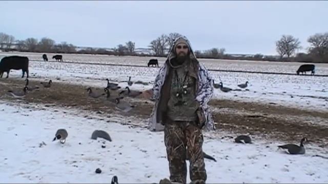 Wind Drifter Canada Goose Decoys in Action смотреть онлайн