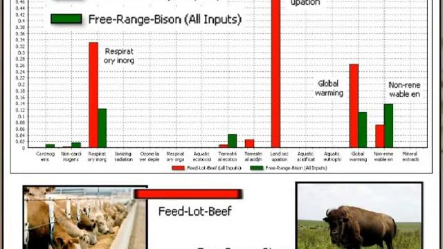 Trophic Hunting Bison смотреть онлайн