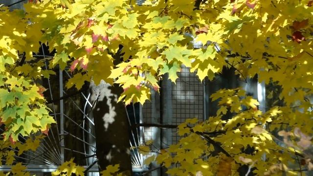 1 14 окт 2018г смотреть онлайн