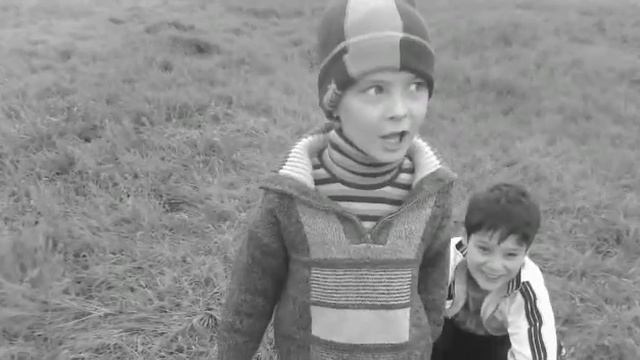 что тут верблюд делает смотреть онлайн