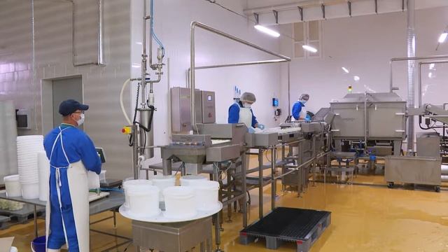 ПТИЦЕФАБРИКА варка яиц смотреть онлайн