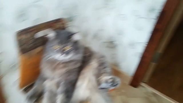 Прошка сидит на попе смотреть онлайн