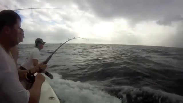 Released blue marlin aboard the Tara in Aruba (dec-2011).mov смотреть онлайн