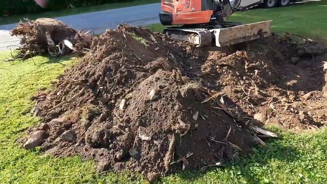 Massive Stump Removed смотреть онлайн