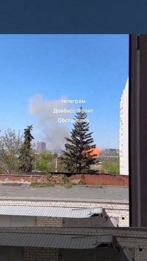 Момент сегодняшнего прилёта герани в Харькове.