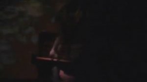 Пой, Гармоника!