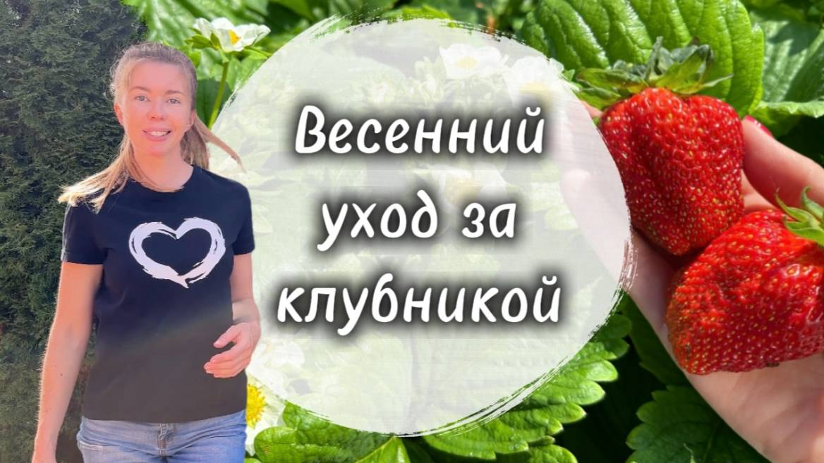 Какой уход нужен клубнике весной 🍓 Задайте вопрос эксперту смотреть онлайн