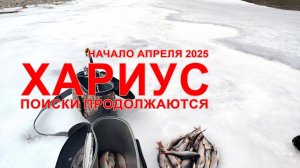 Рыбалка на Уссури в начале апреля 2025. Поиски хариуса продолжаются. И обзор новой пилы.