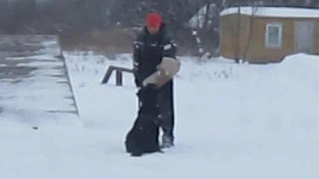Бойга смотреть онлайн
