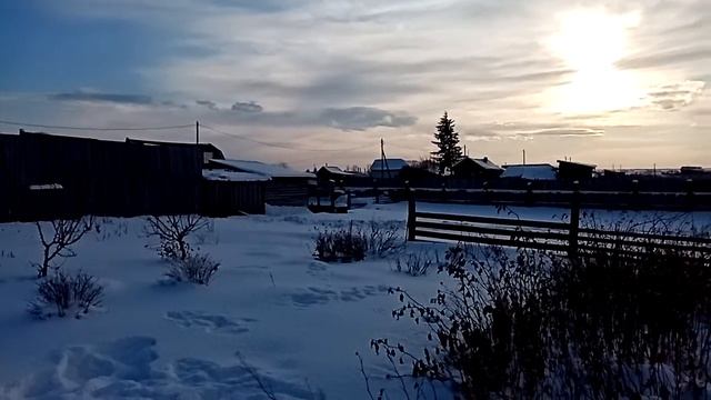 Свинки на выгули смотреть онлайн