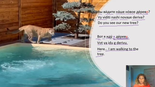 Russian With Puma Messi. Messi's Word Of The Day. A Tree. Дерево.