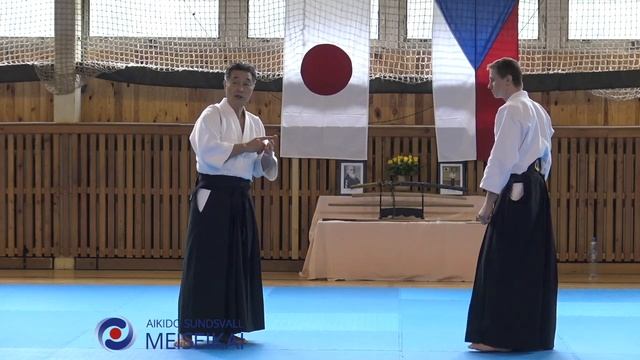 4 Aikido Tsuki Iriminage Shishiya Sensei, Horice 2016