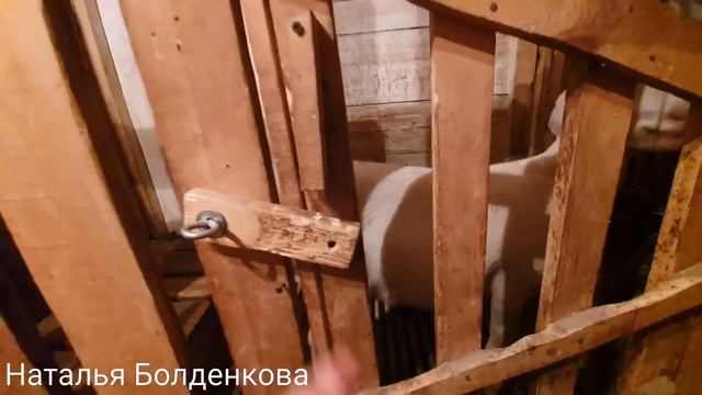 Хозяйские дела//Затворы для коз//История из жизни смотреть онлайн