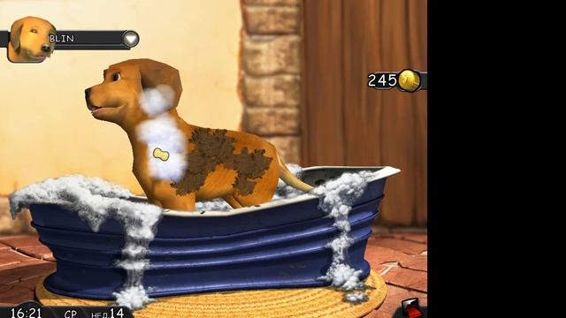 кот и пёс серия 204 - утро блинчика🐶❤ смотреть онлайн