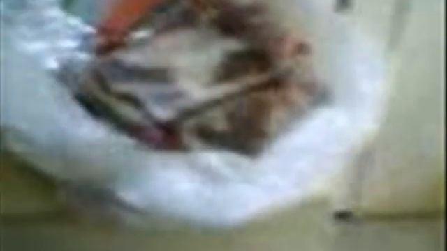 Отдых в Израиле. Нары смотреть онлайн