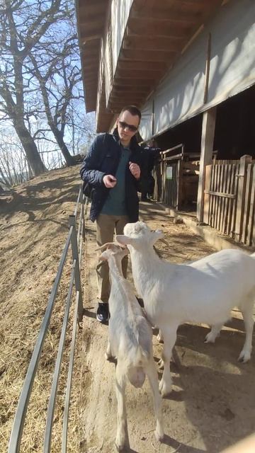 #сочи #фермаэкзархо #экзархо смотреть онлайн