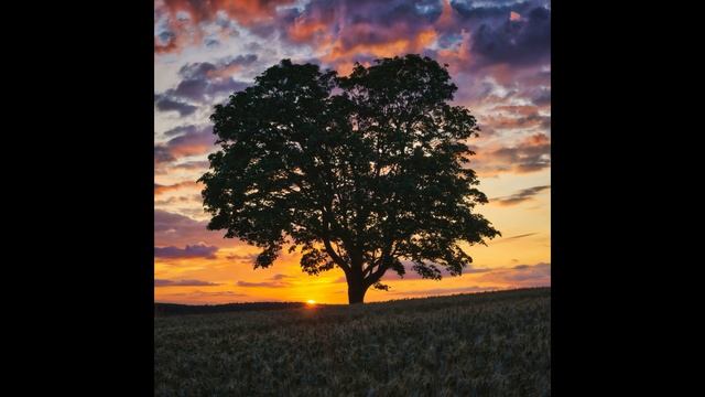 Sunbyonic - Eyelashes смотреть онлайн