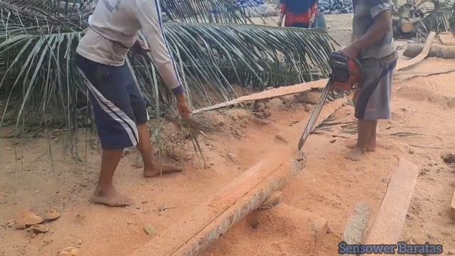 test perdana dengan membuat sebuah balok kayu dari pohon kelapa tua yang keras. смотреть онлайн