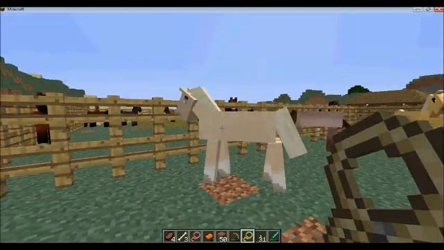Random Simply Horses Video - Answering Questions смотреть онлайн
