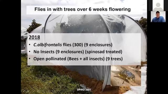 Managing Flies for Crop Pollination смотреть онлайн