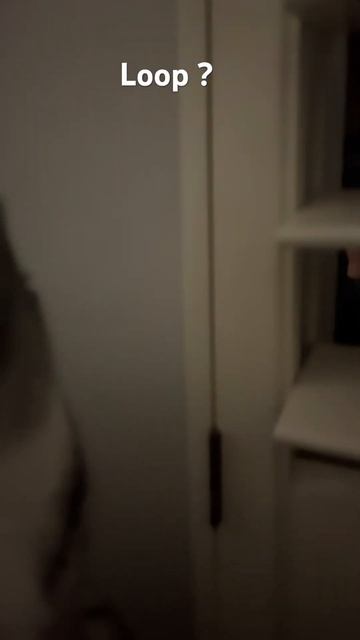 Me and my kitty:3 #cat #loop #shorts #idk cus idk🤌 смотреть онлайн