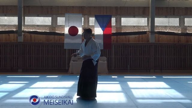 17 Aikido Tsuki Taiotoshi Shishiya Sensei, Horice 2016