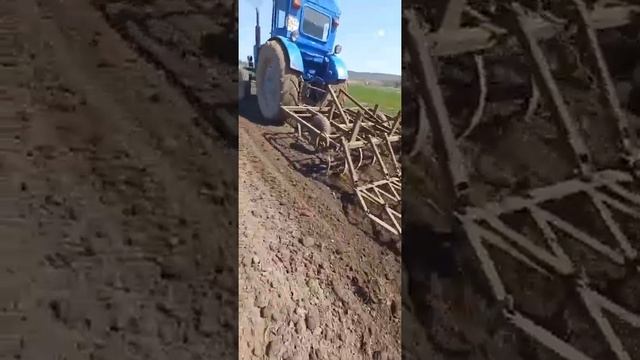 весняна культивація Т 40 культиватор МТЗ смотреть онлайн