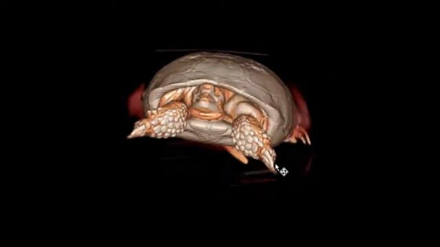 Видео 35 смотреть онлайн