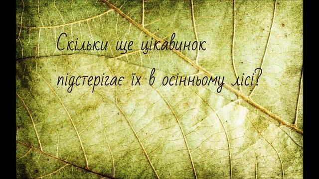 Бондаренко Олександра (ПНА-13-3): Іван Андрусяк «Кабан дикий-хвіст великий»