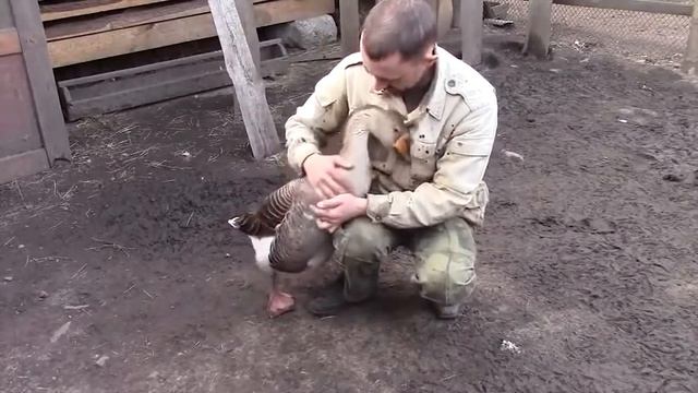 Супер мега ржачный прикол  мужик обнимает ручного гуся  лучшие приколы с детьми за сентябрь 2014