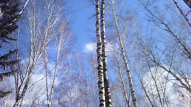 Облако смотреть онлайн