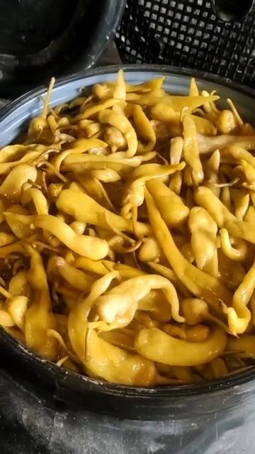 Горький перец в маринаде