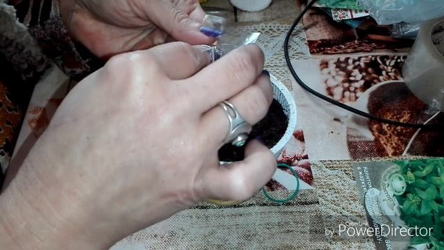 #СеменаМятыЖизньВселе Помощь другу/Сею мяту/Жизнь в селе. смотреть онлайн