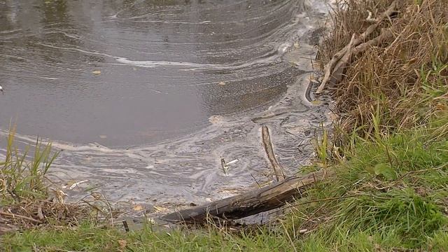 Волонтеры «Дома молодежи» вышли на уборку мусора смотреть онлайн