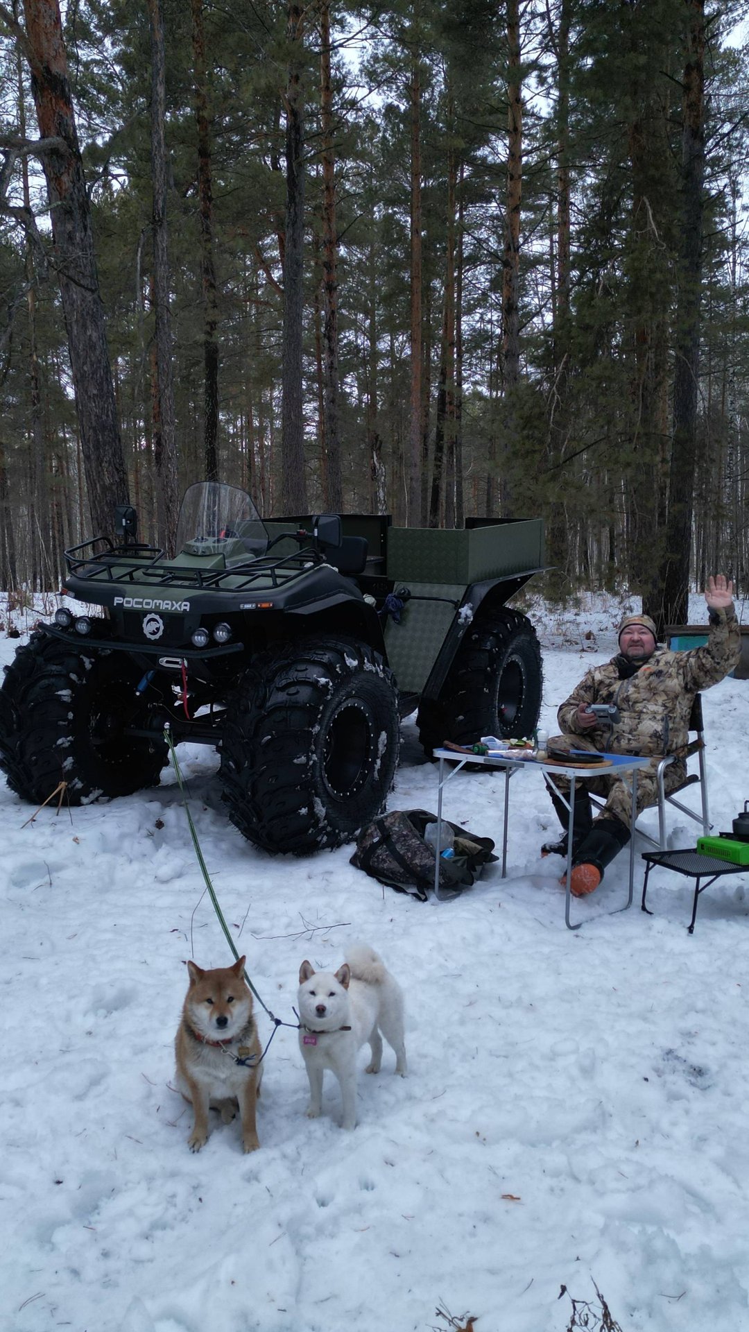 ЗИМНИЙ ОТДЫХ В ЛЕСУ смотреть онлайн