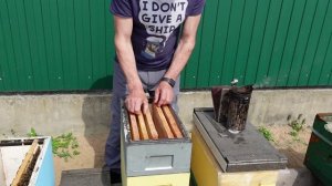 шестирамочники с гнездом на 145 рамку. перевод с 300 на 145